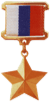 Gold Star Medal
